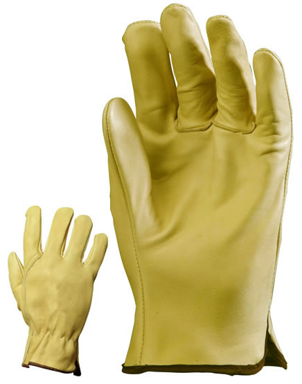 Gants maitrise image principale