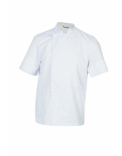 Veste de cuisine Madras image principale